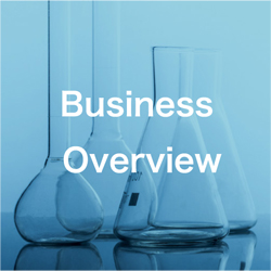 BUSINESS OVERVIEW