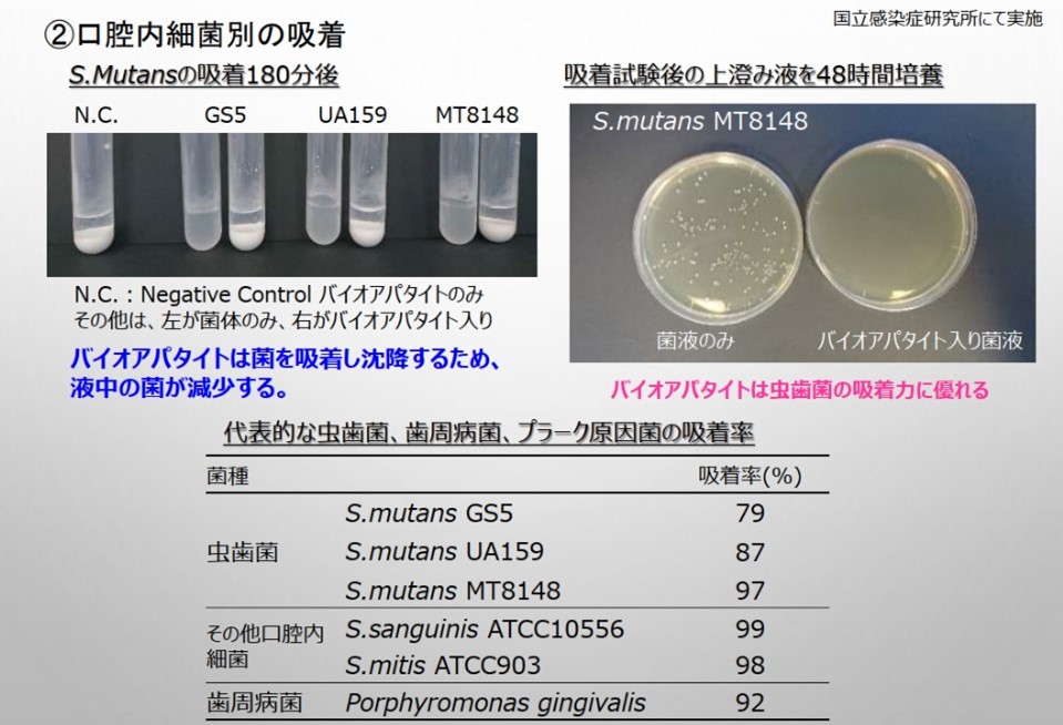 口腔細菌別の吸着